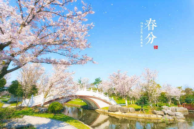 从金山十二时辰到金山二十四节气 有一个人爱金山爱到了骨子里